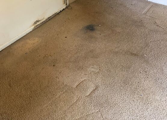 Carpet Cleaning Holt | 02 6188 7105 | #1 Stain Removal Specialist